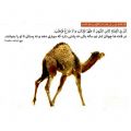 #حکـمت‌اول_نهــج‌البلاغه