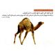 #حکـمت‌اول_نهــج‌البلاغه